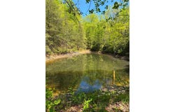 Raven Ridge Trail, Dobson, NC 27017