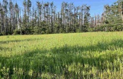 2311 PINECREST, HARBOR SPRINGS, MI 49740