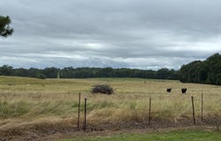 1120 Pleasant Ridge Road, Finger, TN 38334