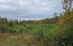 E Highway 378, McCormick, SC 29835