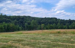 Lot 34 Moorman RD, Hardy, VA 24101