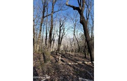 16 & 17 Ridgecrest Drive lot: 16 & 17, Lake Lure, NC 28746