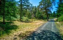1435 WILBUR RD, Roseburg, OR 97471
