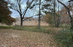 3 SPRING COVE ROAD lot: 3, WARRIOR, AL 35180