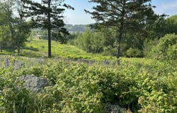 27 Redoubt Hill Road, Eastport, ME 04631