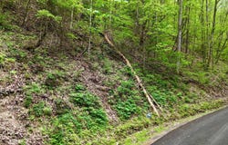 Lot 27 Black Walnut Flats Road, Sevierville, TN 37876