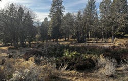 Lot 29 Siskin Lane, Klamath Falls, OR 97601