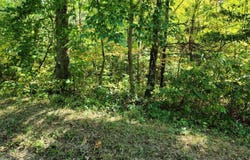 0 Apple Grove Dorcas Road, Racine, OH 45771