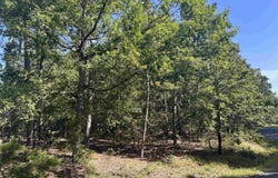33 Levantino Drive, Hot Springs Village, AR 71909-0000