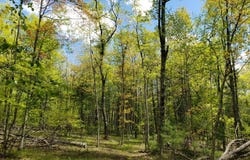 303 French Road, Pembine, WI 54156