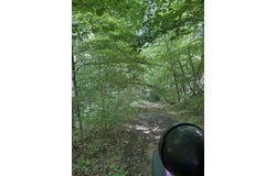 5709 Joe Alder (42 acres) Road, Kyles Ford, TN 37765