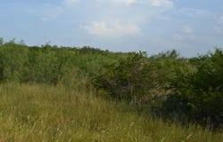 Los Centenarios lot: 91, Laredo, TX 78043