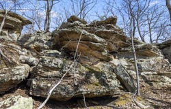 1954 Wheel Rim Road, Hazel Green, KY 41332