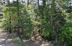 State Highway 154 W, Big Sandy, TX 75755