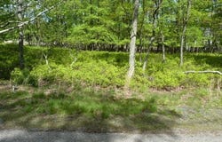 ER-153 INDIGO CIRCLE, HAZLETON, PA 18202