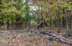 2 S 4420 Road, Adair, OK 74301