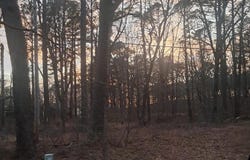P1202366 Hwy 125, Roanoke Rapids, NC 27870