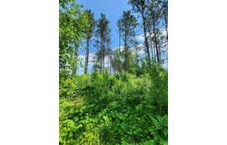 00 N Olson Rd, Hayward, WI 54843