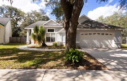 4119 MORELAND Drive, VALRICO, FL 33596