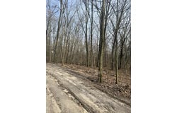 V/L Sycamore Street, Grand Junction, MI 49056