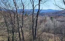 L2 Lang Road, Summit, NY 12175