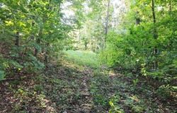 21S-1A Lot 56 and 57, Doniphan, MO 63935