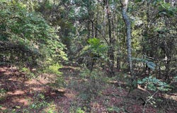 TBD Parkwood Avenue 10, North, SC 29112
