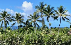 78-7070 ALII DRIVE unit: C201, Kailua-Kona, HI 96740