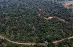 Lot 4 Private Road 4601, Waelder, TX 78959