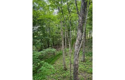 Ky 28 Grays Branch, Booneville, KY 41314