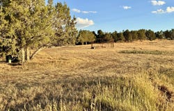 15590 Red Mountain Road, Collbran, CO 81624