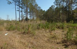 C D Rayborn Road, Jayess, MS 39641