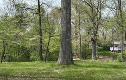 585 Artist Drive, Nashville, IN 47448-8106