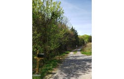 397 Moore Hollow Road, Newport, TN 37821