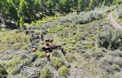 Tbd Divide Road, Whitewater, CO 81527