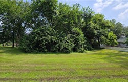 Tbd Bluff Street, Clearwater, MN 55320