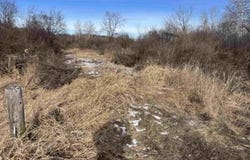 Grapevine, Tomah, WI 54660