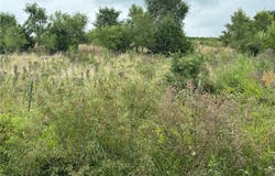 Indianapolis, Osawatomie, KS 66064