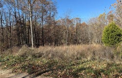 TBD Berwick  LN, Bella Vista, AR 72714