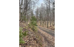 127 Light Blue, Nisula, MI 49952