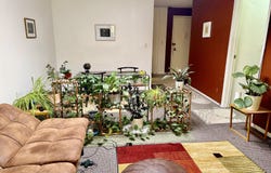 125 Prospect Street, Stamford, CT 06901
