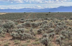 8 Bellevue Drive LOT 32, Arroyo Seco, NM 87514