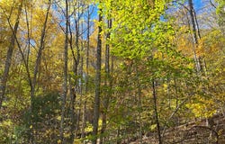 Tbd Grayson Parkway, Galax, VA 24333
