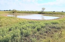 4 Ac PR  5463 C, Mexia, TX 76667