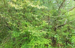 000 Brookshire Drive, Gordonville, TX 76245