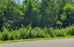 168 Valley Springs Drive, Olin, NC 28660