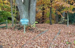 ASBURY DRIVE, DENTON, MD 21629