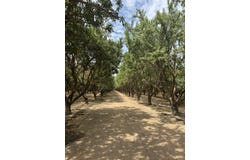 18700 Road 16, Chowchilla, CA 93610