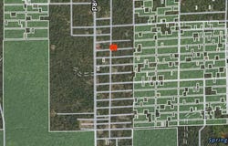 102 E Peoria Avenue, Idlewild, MI 49642