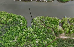 COUNTY ROAD 499, WOODLAND, AL 36280
